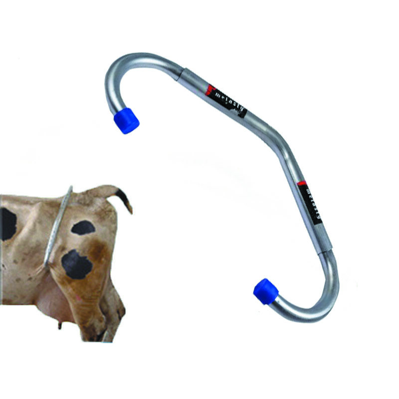 Cow anti kick lock