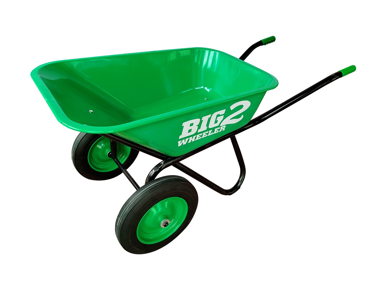 WhatsApp Image 2026-03-05 at 3.27.55 PM